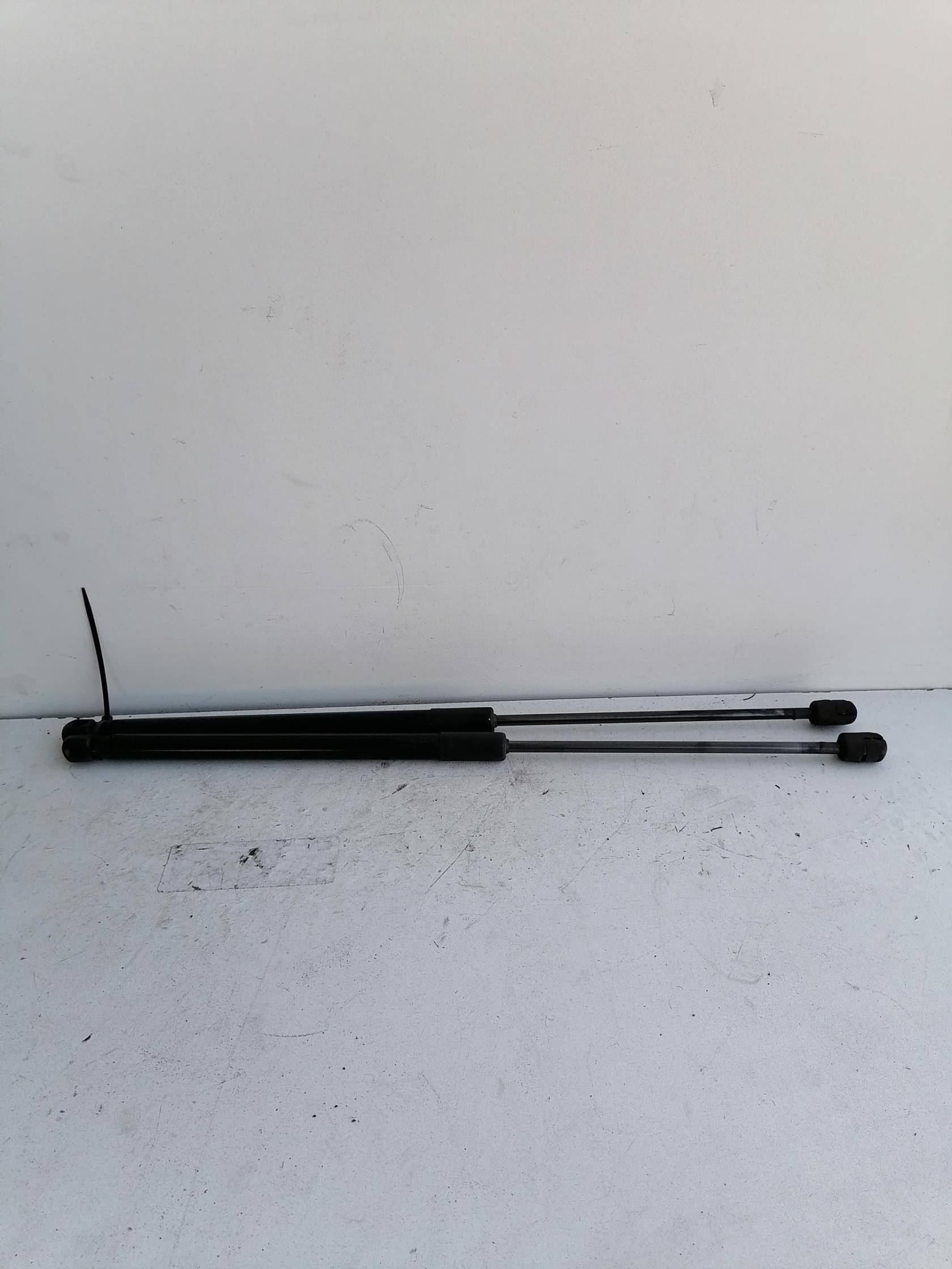 Asta ammortizzante portello post. sx.